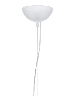 Bloom sospensione medium