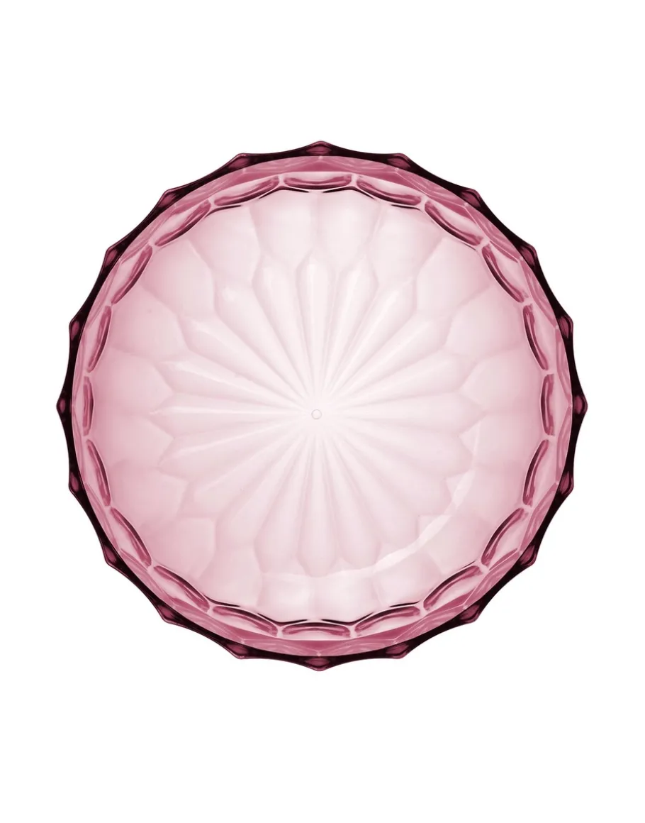 Jellies family