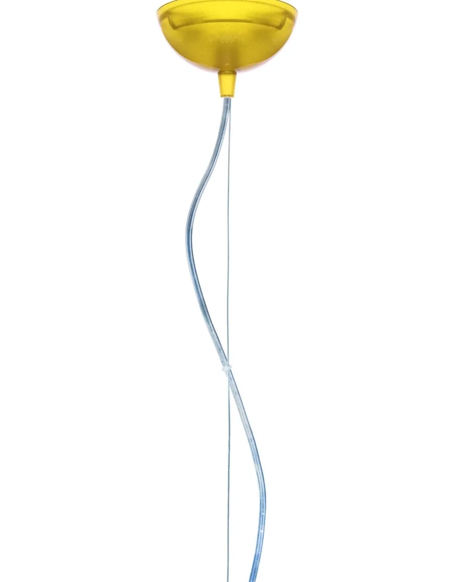 Small fl/y trasparente